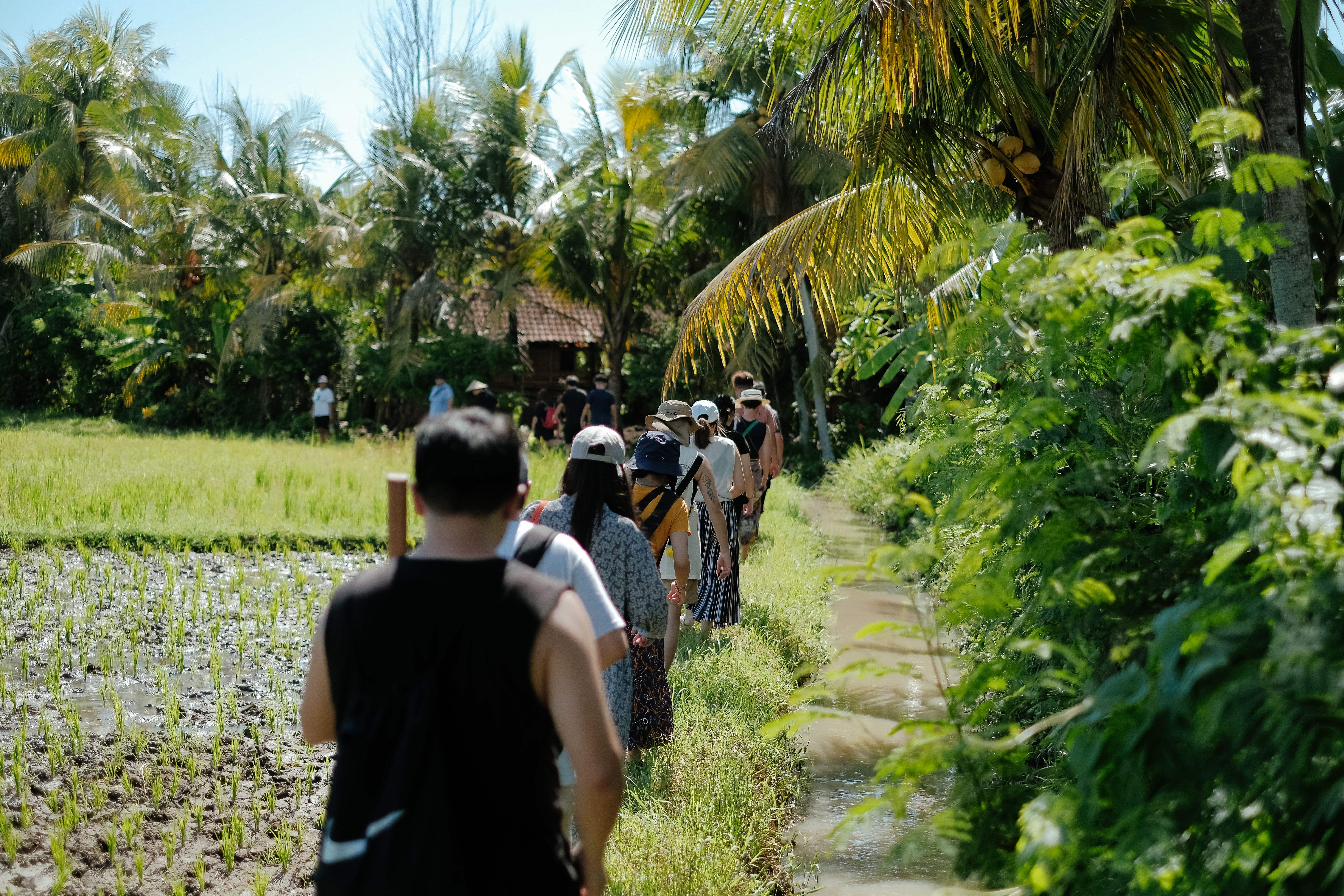 Tur Hutan (Forest Tour)